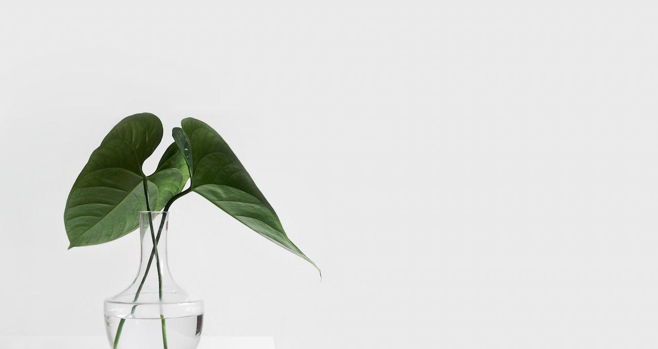 sarah dorweiler x2Tmfd1 SgA unsplash 1